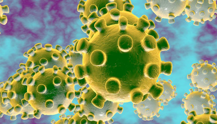 CoronaVirus